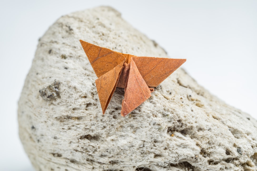 Scaling Strategies: From Solopreneur to Profitable Enterprise